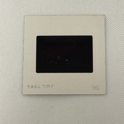 35MM Vintage Photo Slide Porsche 356 Car 1979