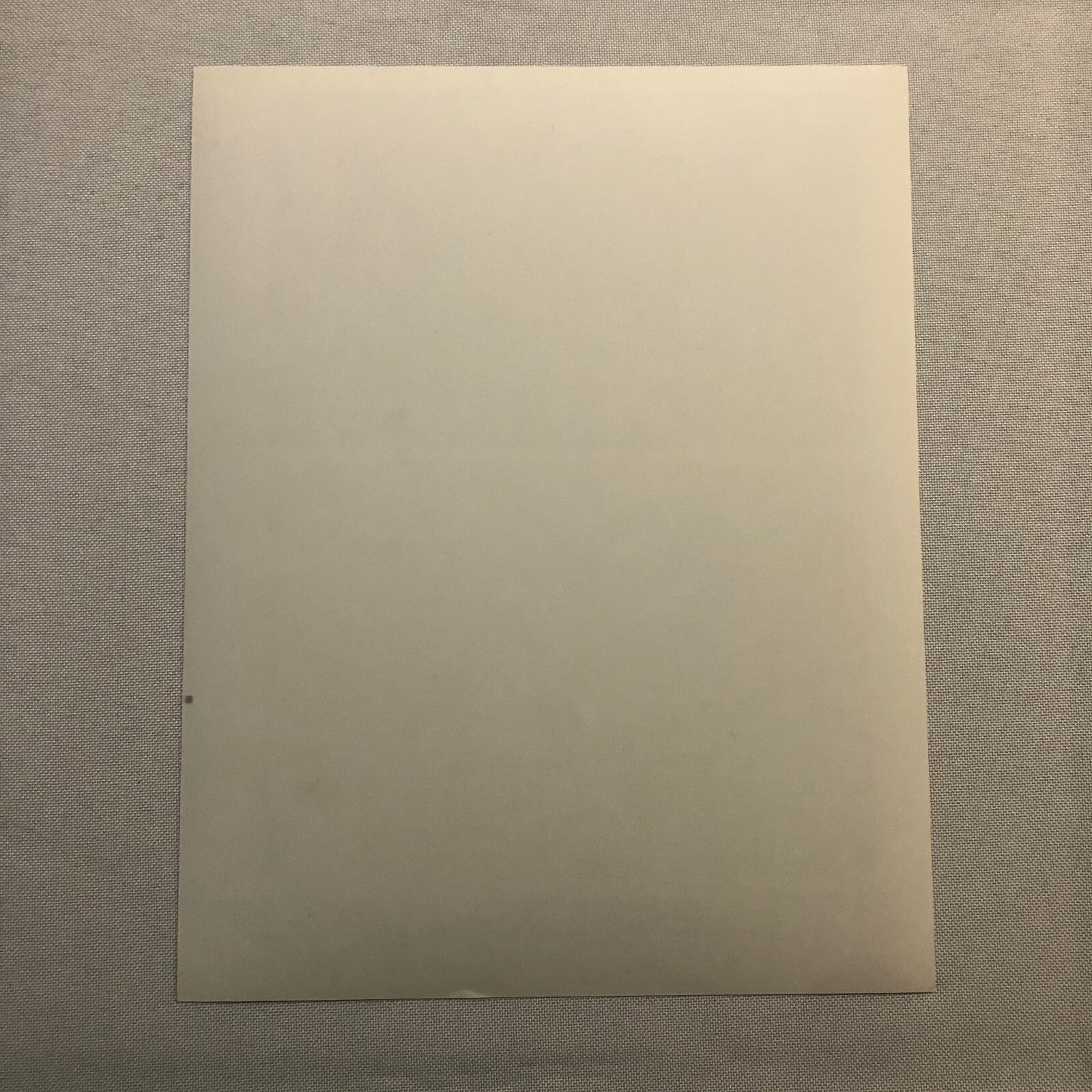 Benny & Joon Movie Press Photo Photograph Film Johnny Depp Mary Masterson