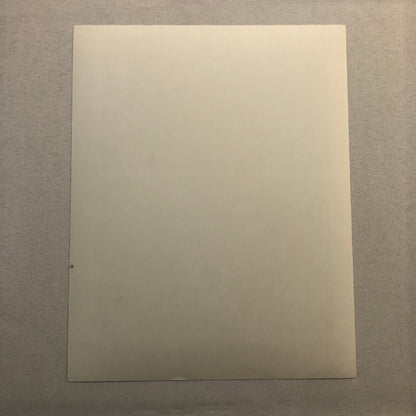 Benny & Joon Movie Press Photo Photograph Film Johnny Depp Mary Masterson