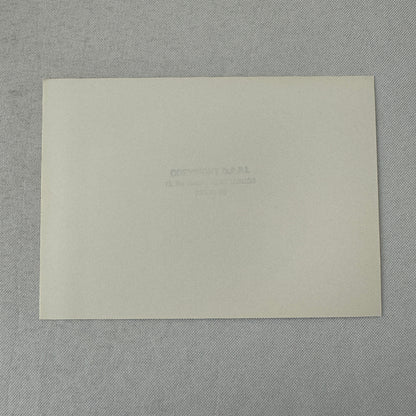 1980 Rallye Monte Carlo Press Photo Photograph DPPI Fiat Ritmo Abarth Car