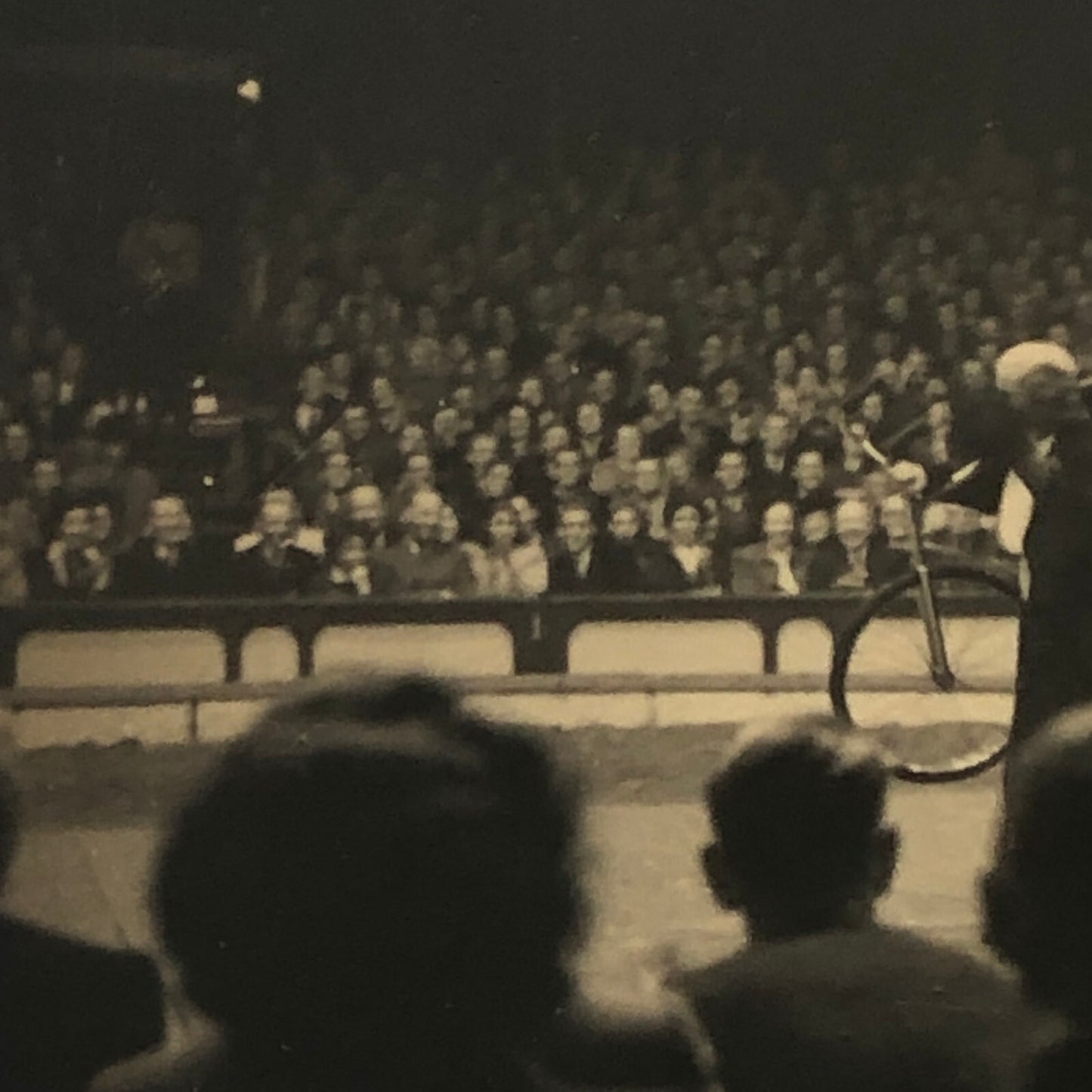 Circus Bicycle Act Photo Photograph Print Rotterdam Netherlands Vintage