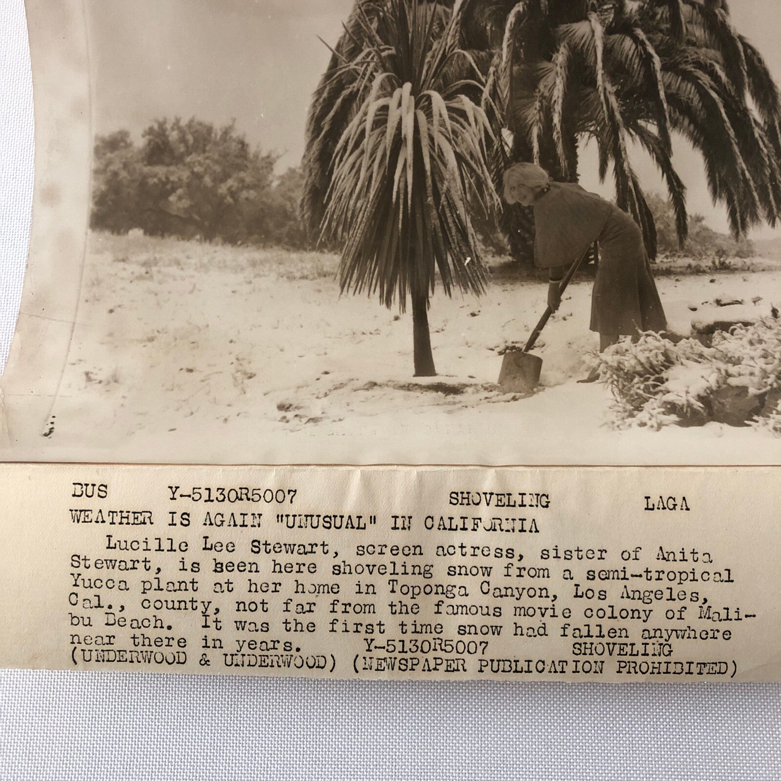 Press Photo Photograph Film Star Actress Lucille Lee Stewart Shovelling Snow