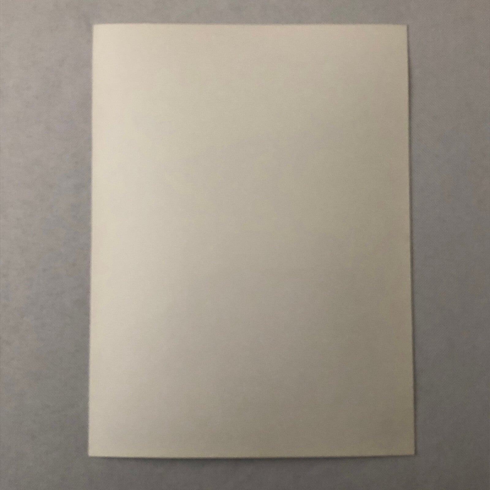 Porsche Quaker State Indy Racing Factory Photo Photograph Print