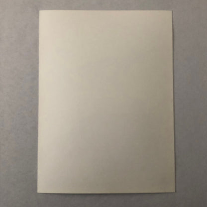 Porsche Quaker State Indy Racing Factory Photo Photograph Print