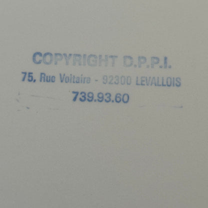 Vintage Rally Racing Photo Photograph Print DPPI Porsche 911 Car