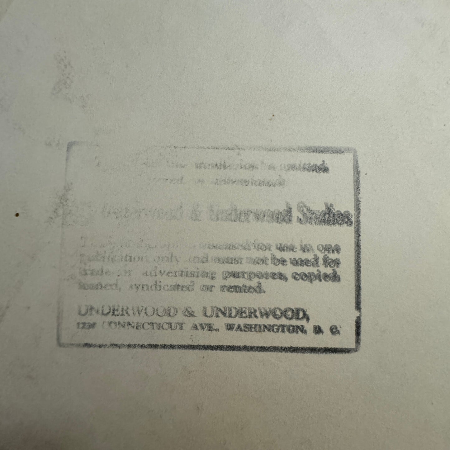 1934 Press Photo Photograph Print Wife of Dutch Envoy Diplomat Netherlands