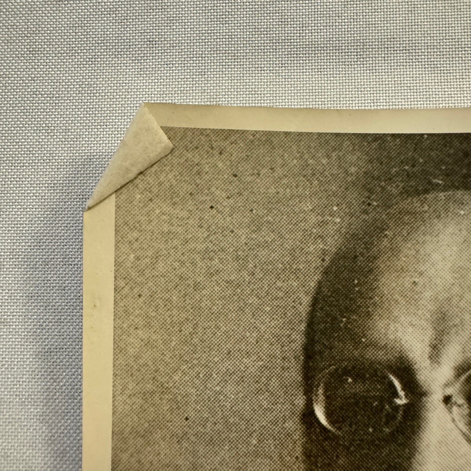 League of Nations Secretary Candidate Joseph Avenol Press Photo Photograph