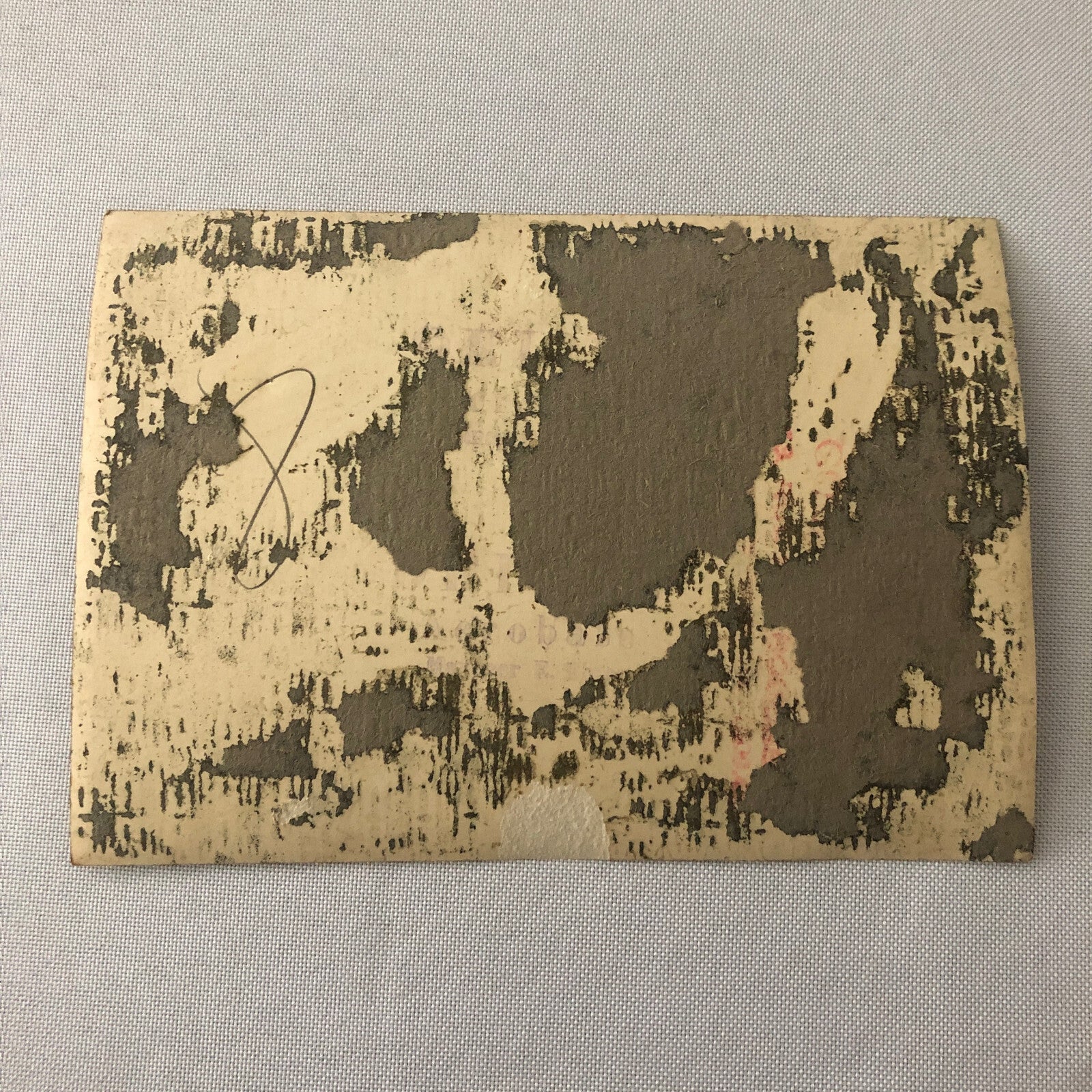 Circus Performer Troupe Acrobats in Costume Photo Photograph Vintage