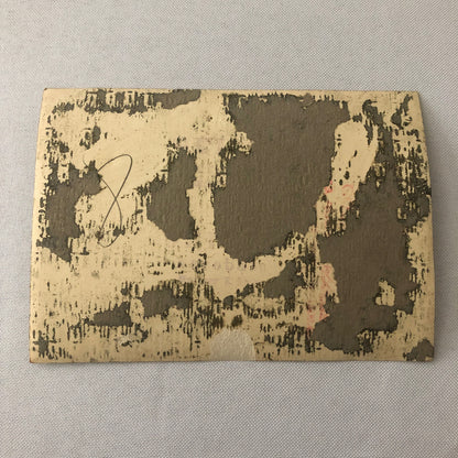 Circus Performer Troupe Acrobats in Costume Photo Photograph Vintage