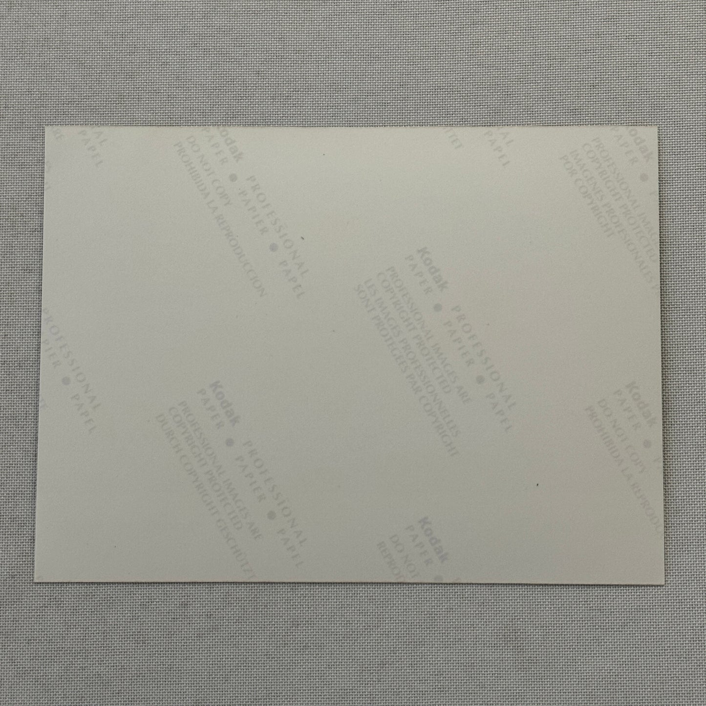 1998 Porsche 911 Carrera Car Factory Press Photo Photograph