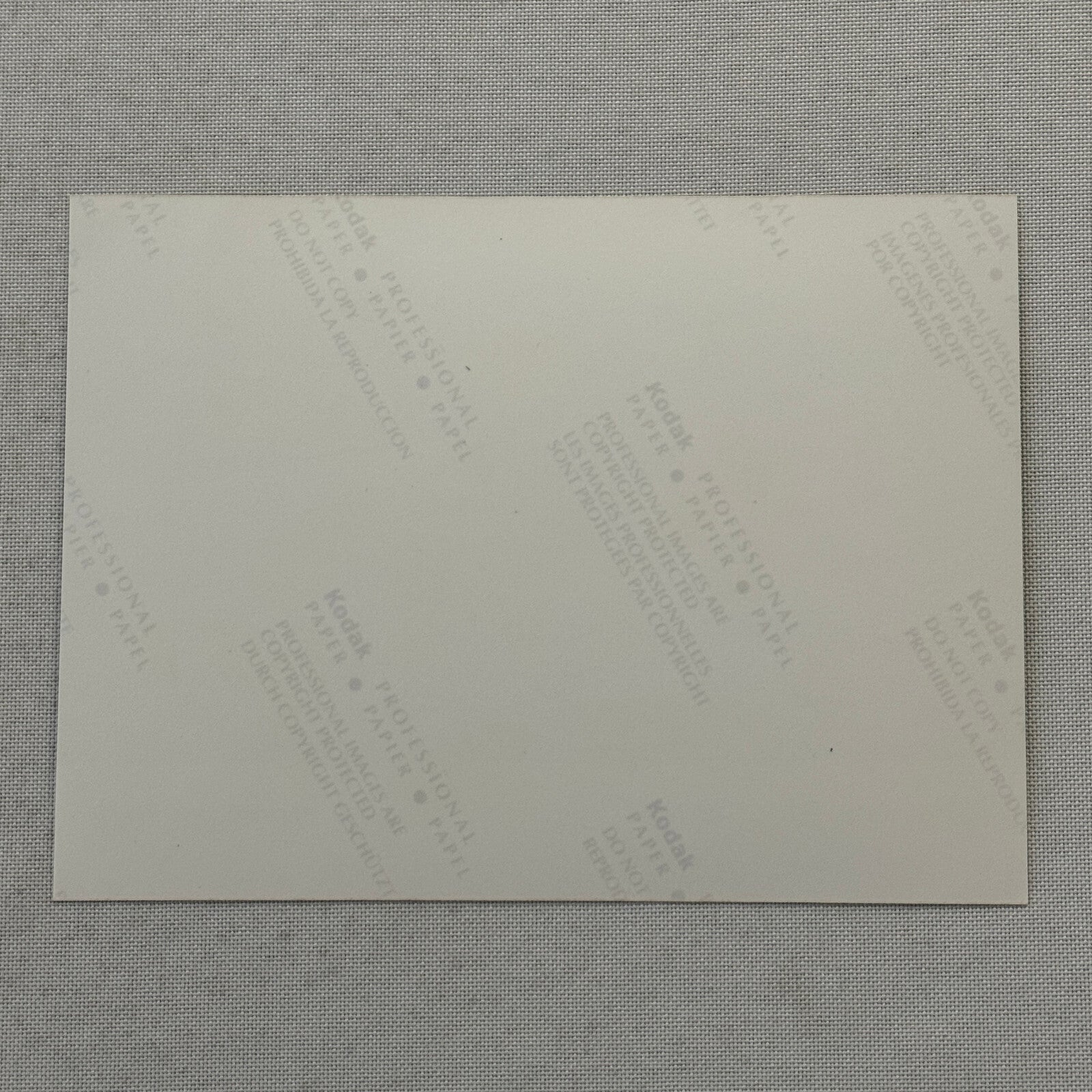 1998 Porsche 911 Carrera Car Factory Press Photo Photograph