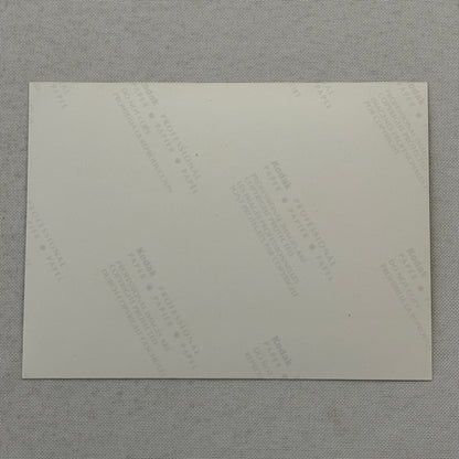 1998 Porsche 911 Carrera Car Factory Press Photo Photograph