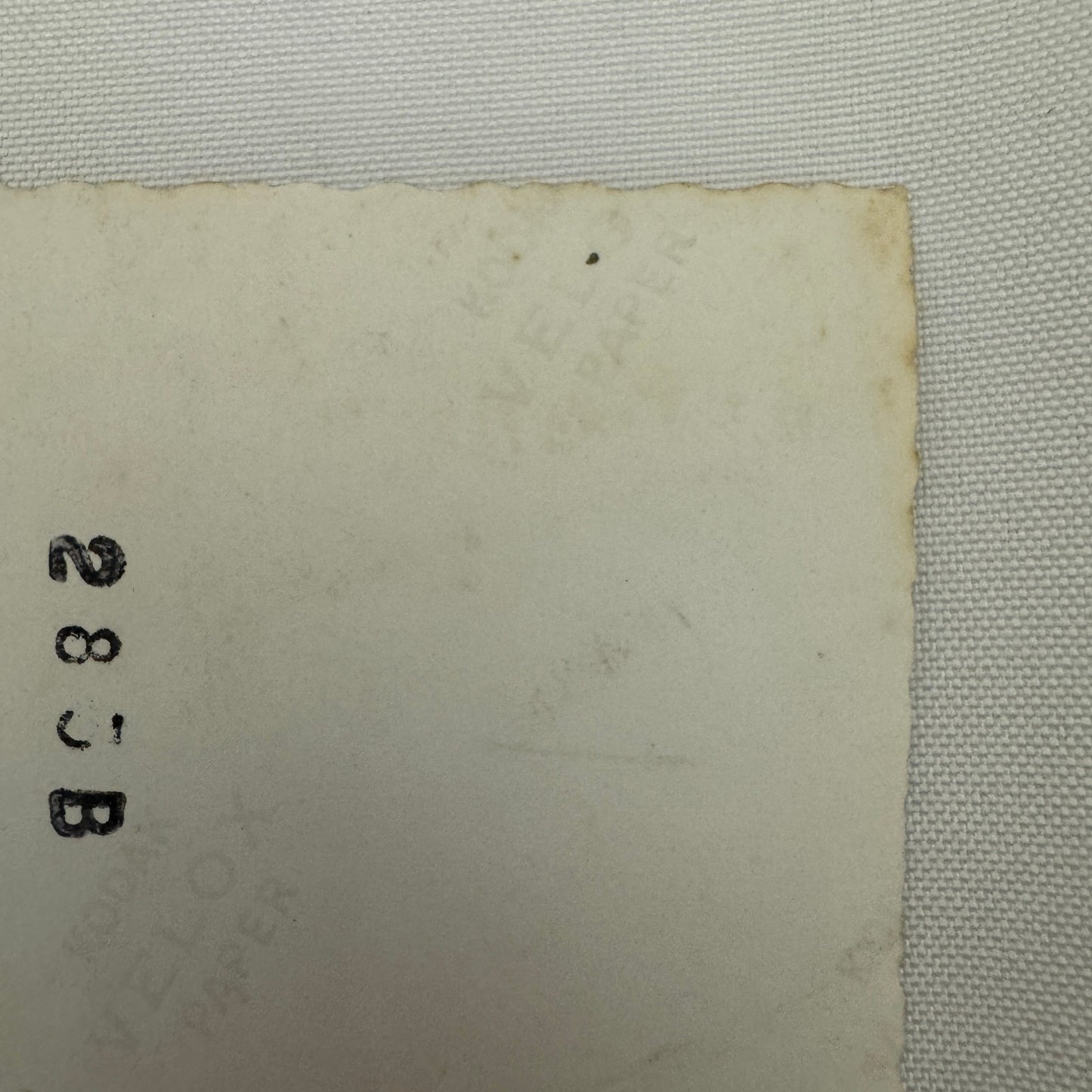 Vintage Pontiac Eight Car Photo Photograph Print Snapshot Pontiac 8 Woman Girl