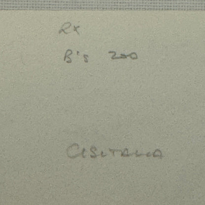 Vintage Cisitalia Car Photo Photograph Roadster Print