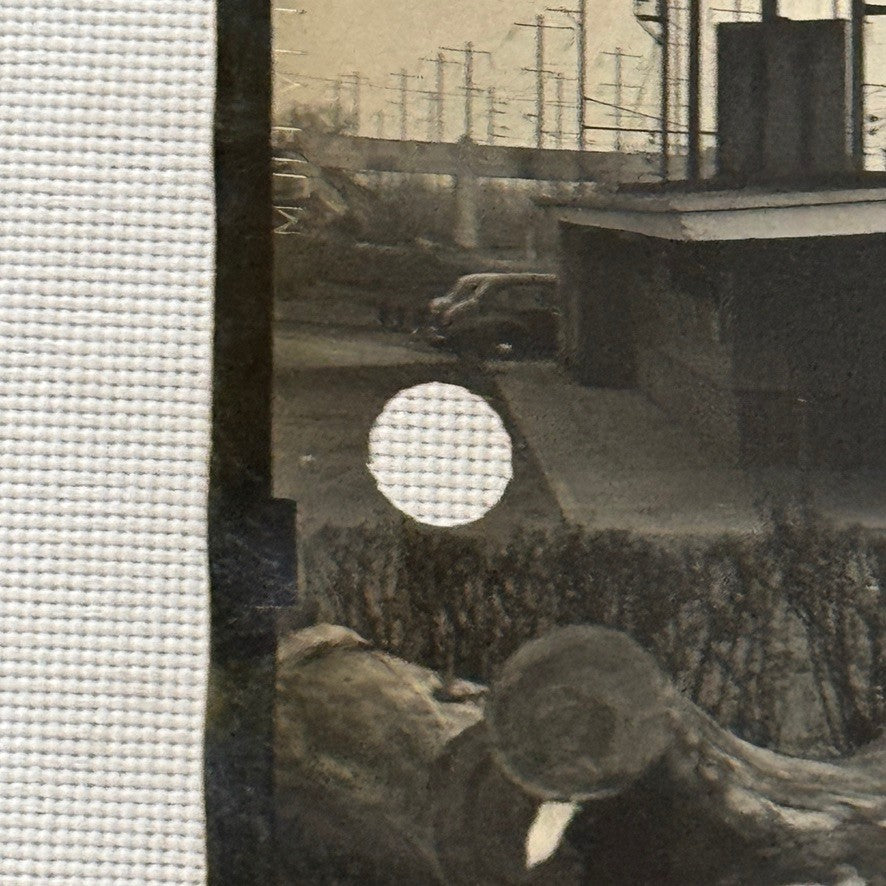 Vintage Pennsylvania Railroad Photo Contact Sheet Photograph Al Paul Lefton PRR