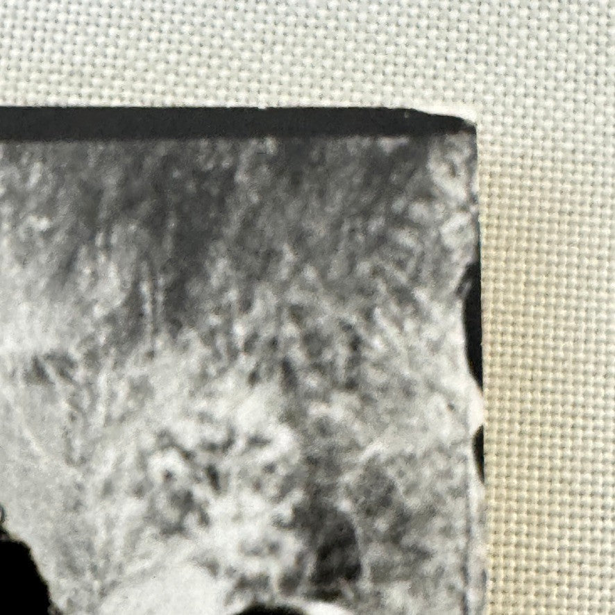 United Farmworkers Union Strike Labour Labor Canada Press Photo Photograph