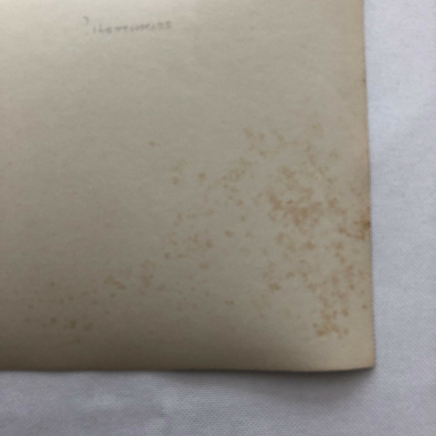 Antique Press Photo Photograph Agence Meurisse Paris Nice Rally Rallye Car ? 