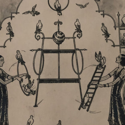 Circus Bird Training Act Postcard Post Card Gregory's Tauben Revue German