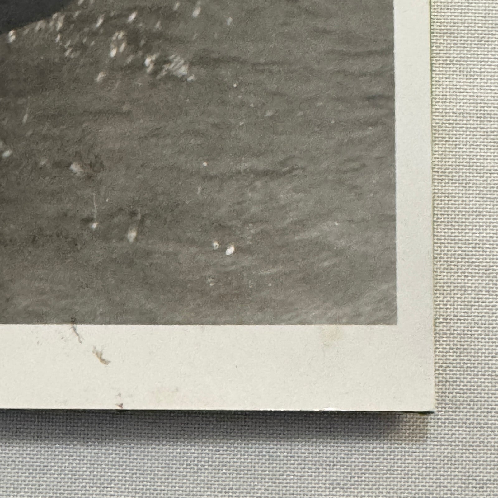 Sailing Boat Race Racing Regatta Sailor Photo Photograph Print