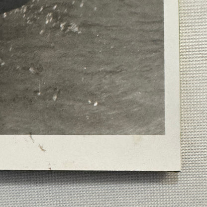 Sailing Boat Race Racing Regatta Sailor Photo Photograph Print