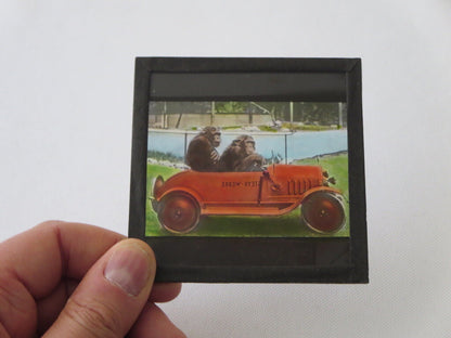 Vintage Glass Advertising Magic Lantern Slide - Steyr Werke Car w/ Monkey Chimp
