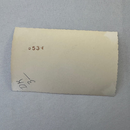 Vintage Car Automobile Photo Photograph Print Snapshot