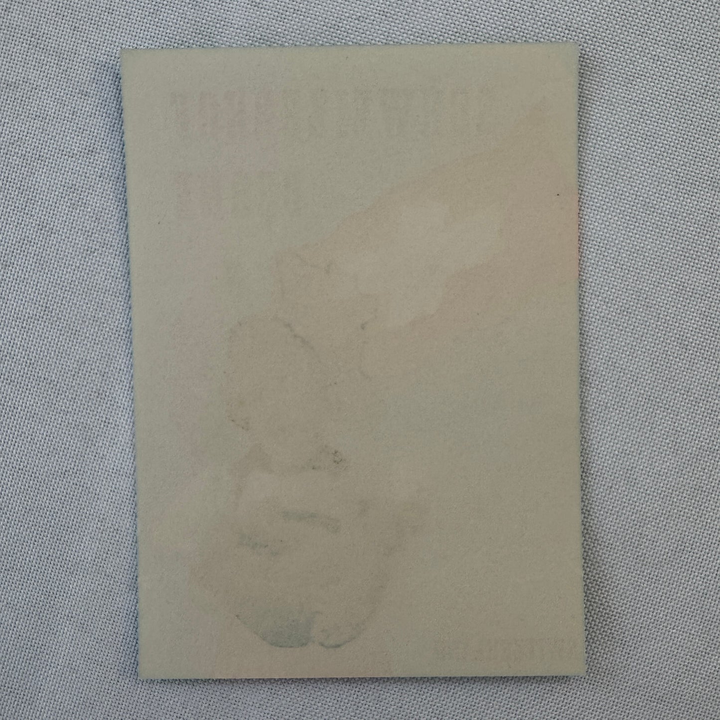 Vintage Travel Label Hotel Schweizerhof Berne Switzerland Swiss