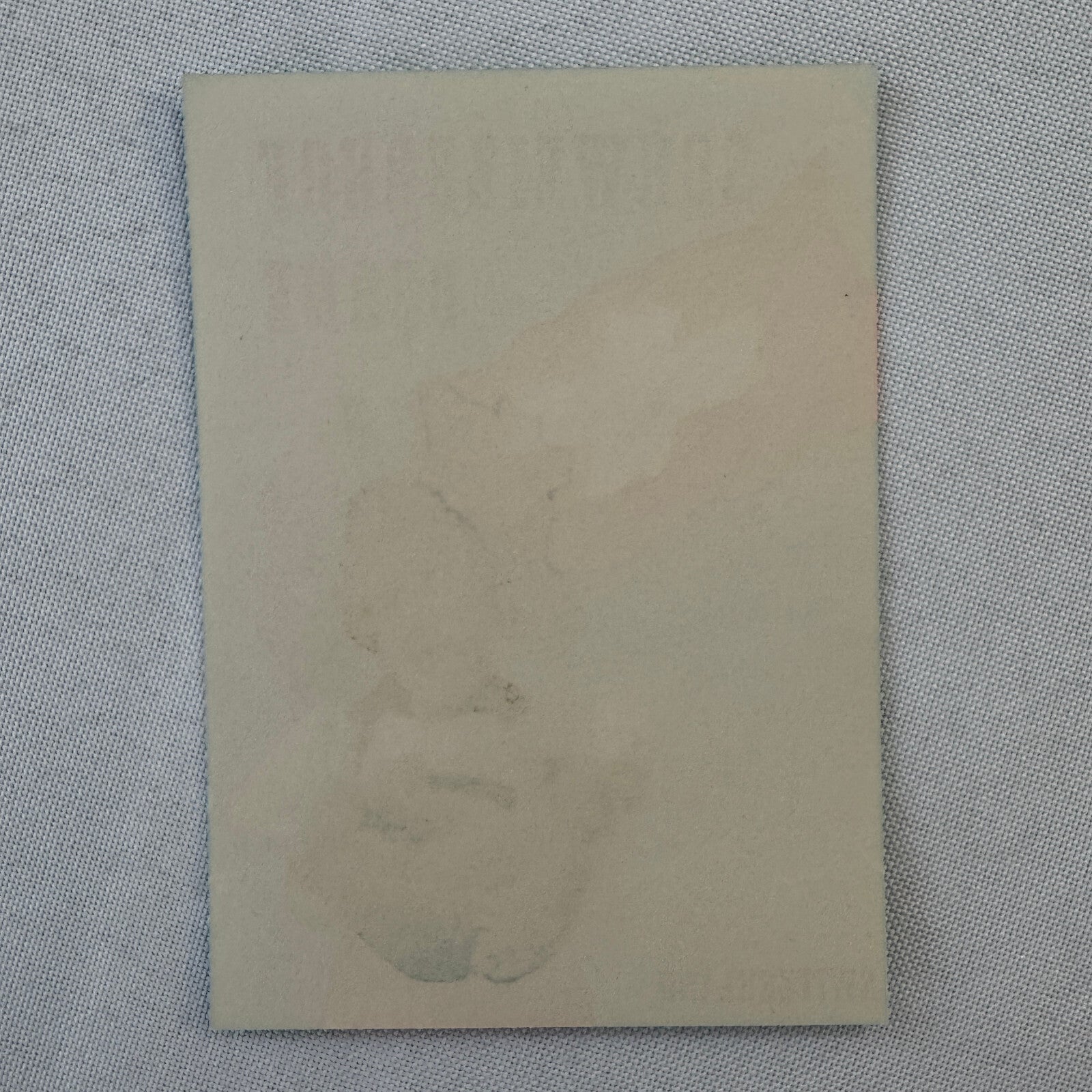 Vintage Travel Label Hotel Schweizerhof Berne Switzerland Swiss