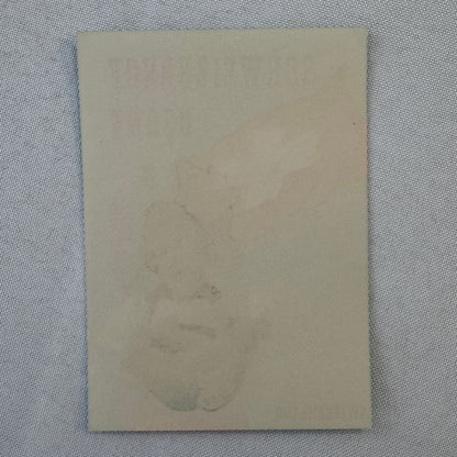 Vintage Travel Label Hotel Schweizerhof Berne Switzerland Swiss