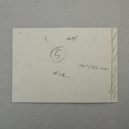 Crowd with Porsche 911 Photo Photograph Vintage