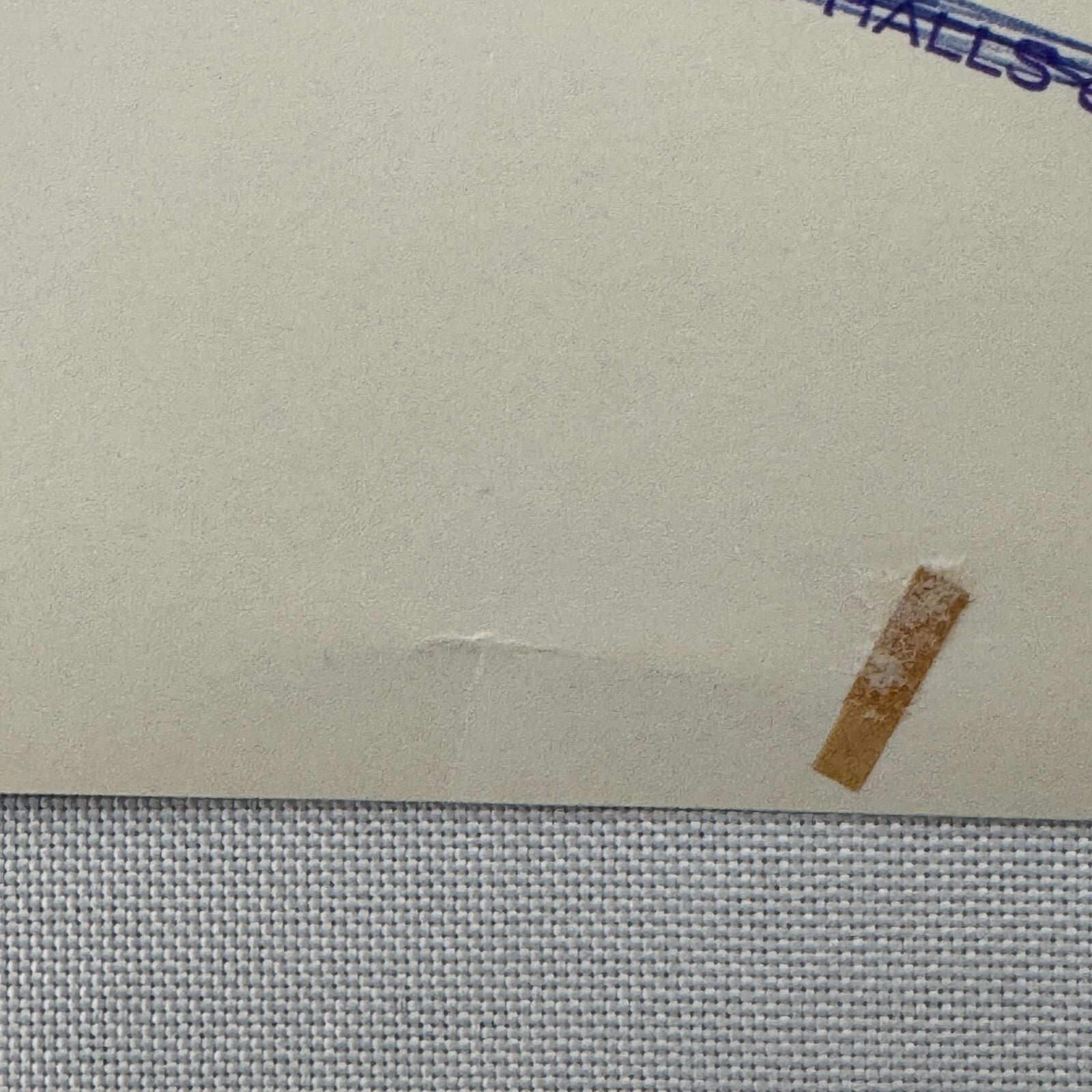 Circus Performer Roller Skating Act Roller Skate Photo Photograph 2 Veronas