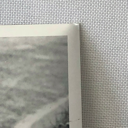 Vintage John Surtees 1966 Dutch Grand Prix Cooper Car Racing Photo Photograph