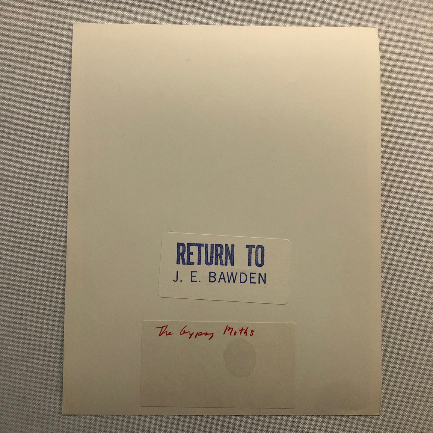 Vintage Movie Photo Photograph Print Gypsy Moths