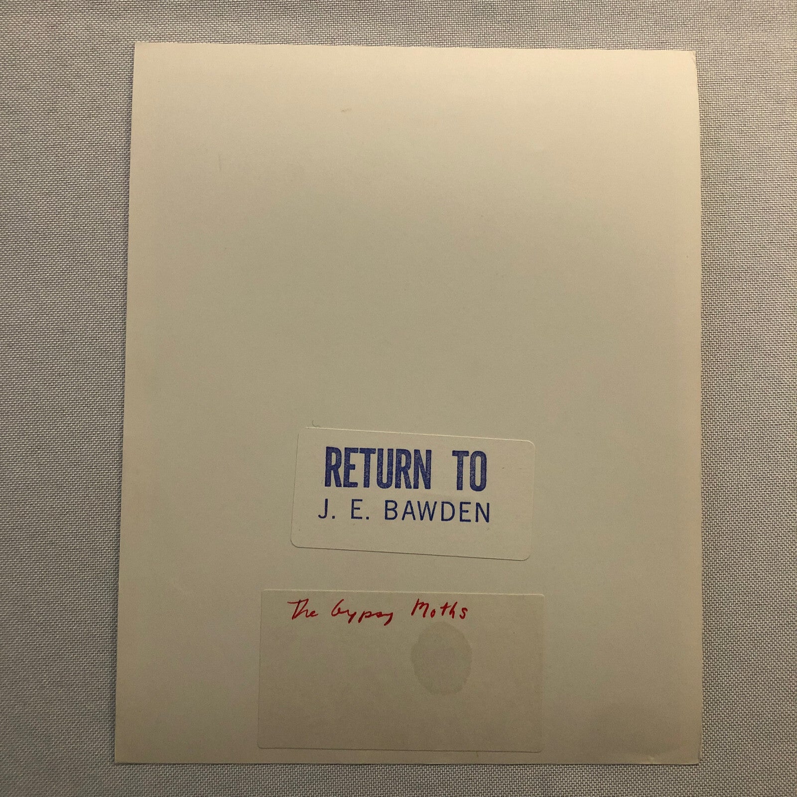 Vintage Movie Photo Photograph Print Gypsy Moths