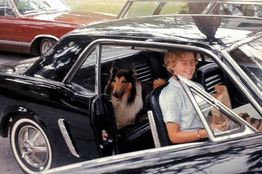 35MM Slide Photo Ford Mustang with Woman and Dog