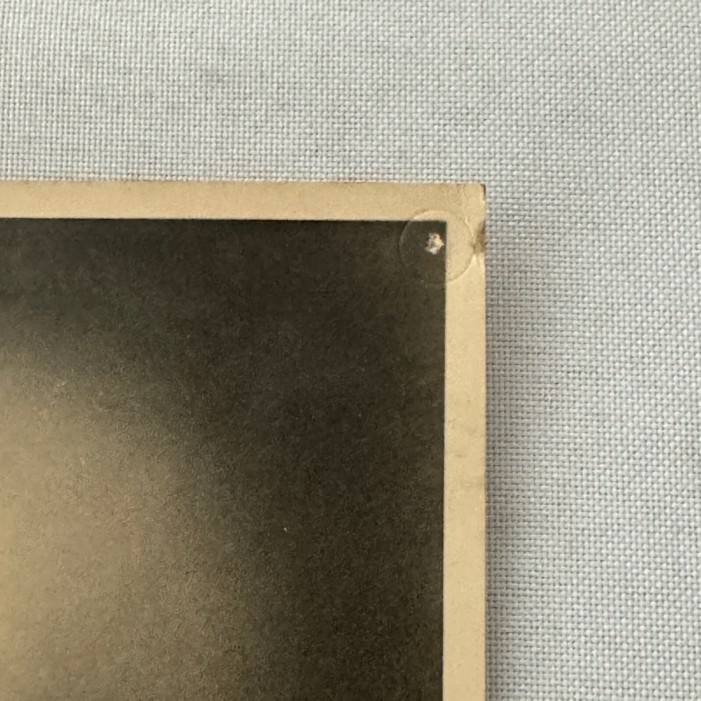 Vintage Circus Juggling Acrobat Act Bedini Tafani Photo Photograph