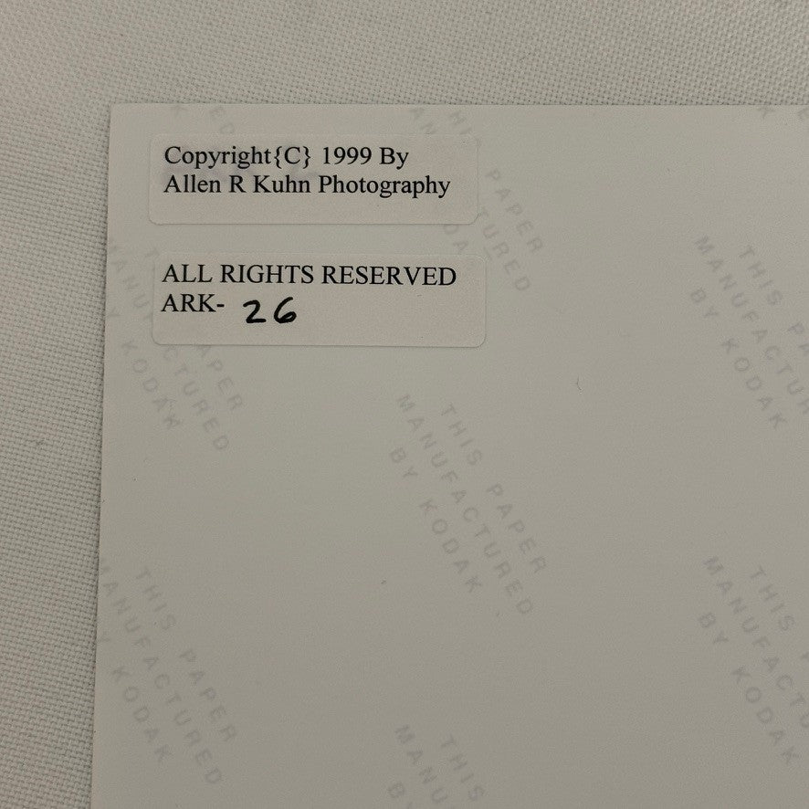 Morgan Racing Photograph Mike Evans Dodger Stadium Vintage Image Modern Print