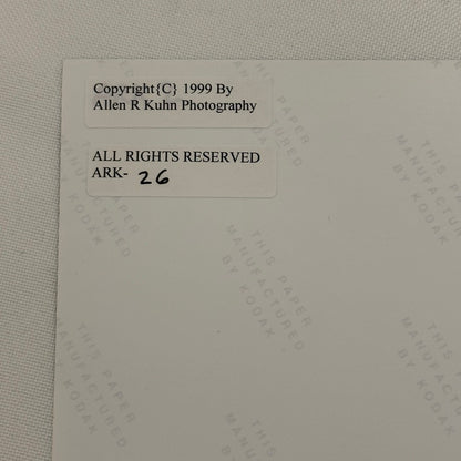 Morgan Racing Photograph Mike Evans Dodger Stadium Vintage Image Modern Print