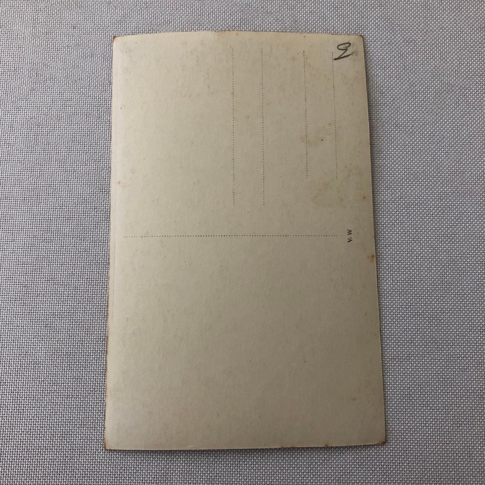 Circus Performer Trapeze Artist Acrobat Performer Miss Swift Photo Photograph