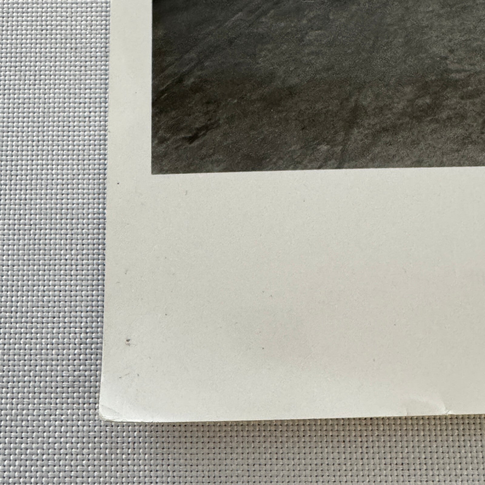 Vintage Porsche Racing Car Photo Photograph Print