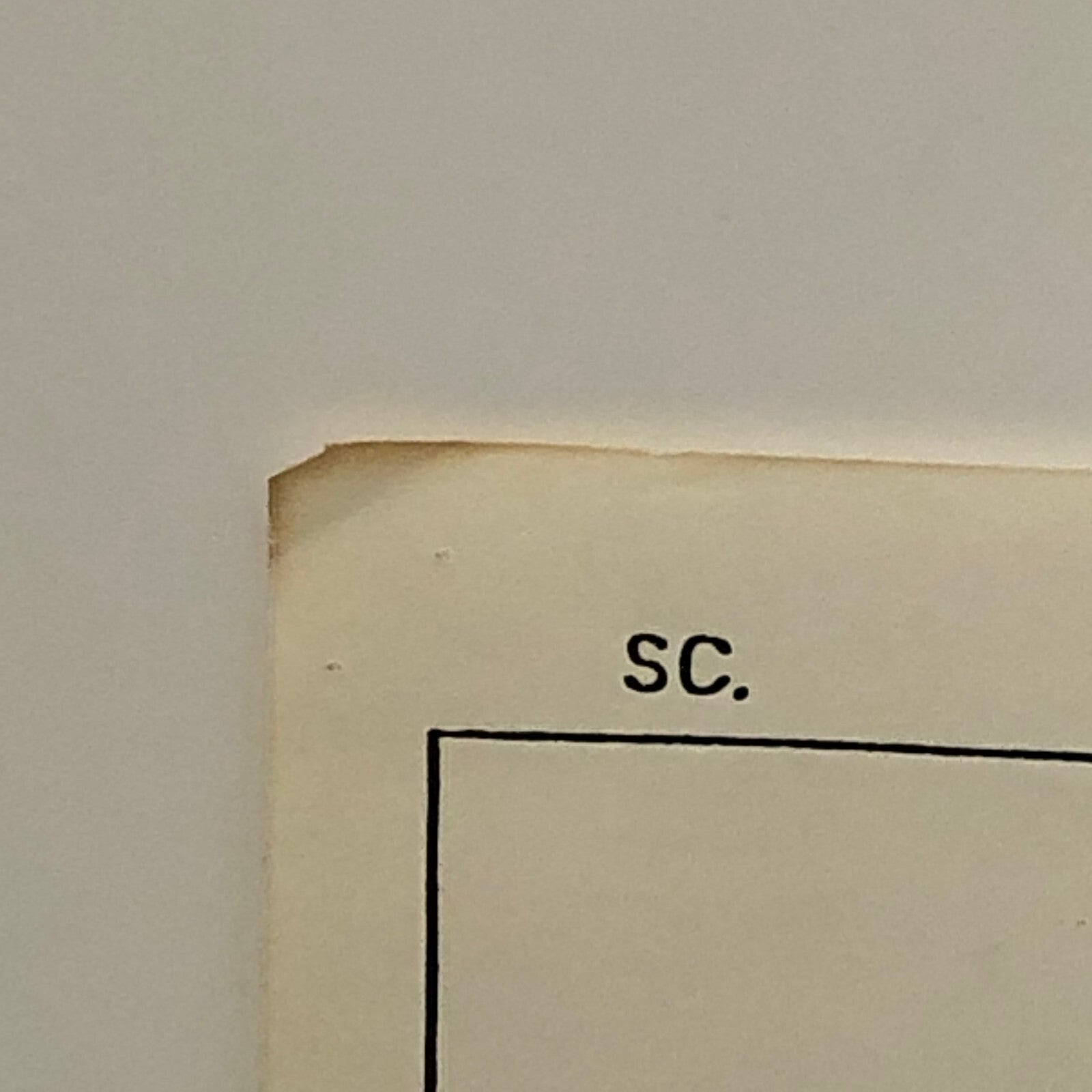 ANIMANIACS Animation Storyboard Illustration Drawing Sketch Story Board Art