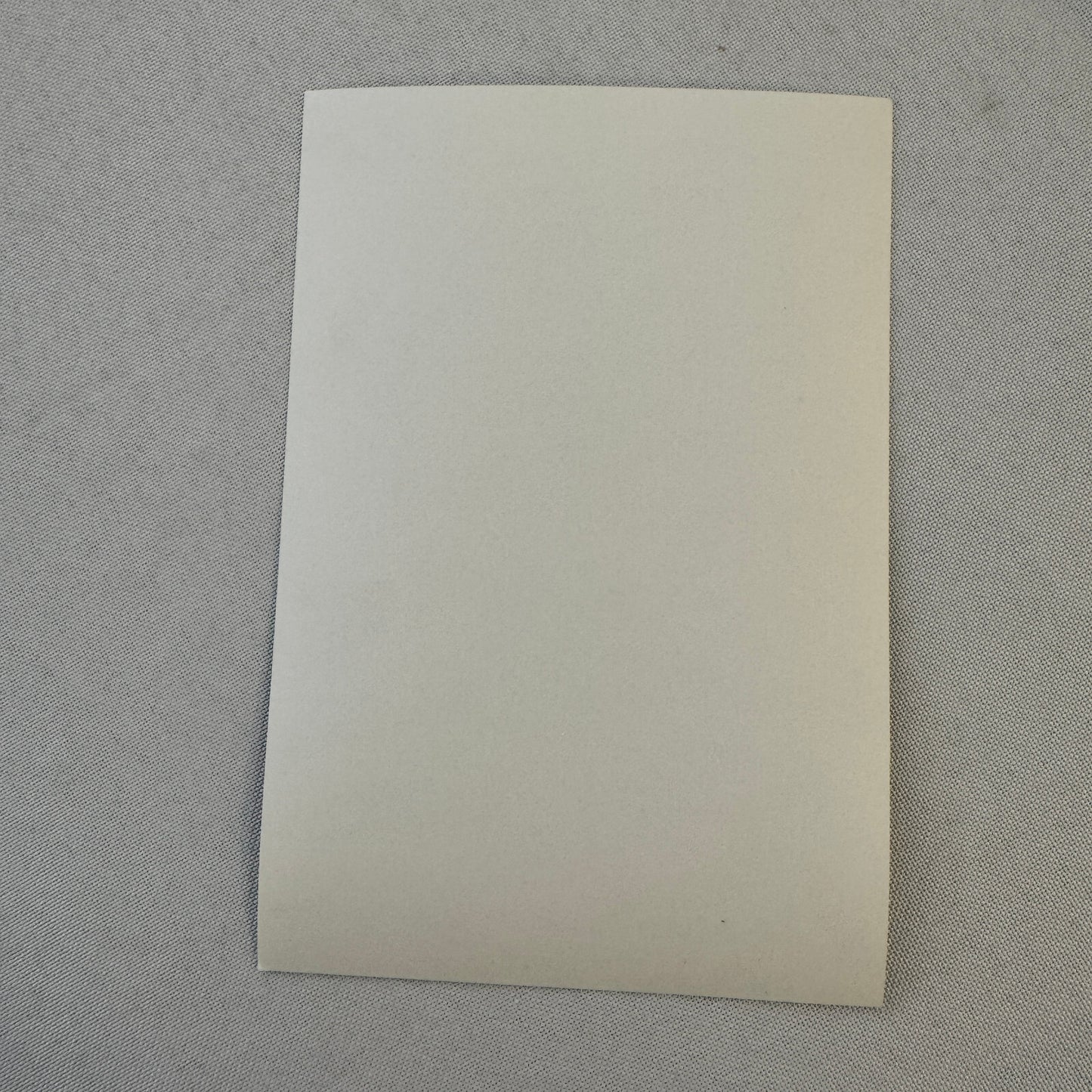 Canon Porsche Racing Team 1984 Factory Press Photo Driver Jan Lammers