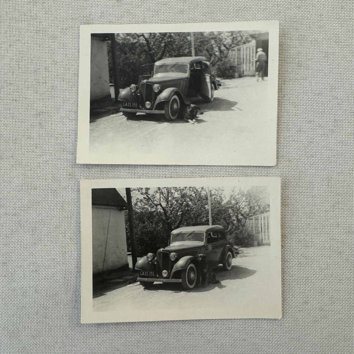 Dog with Antique Car Automobile Photo Photograph Lot of 2x Vintage