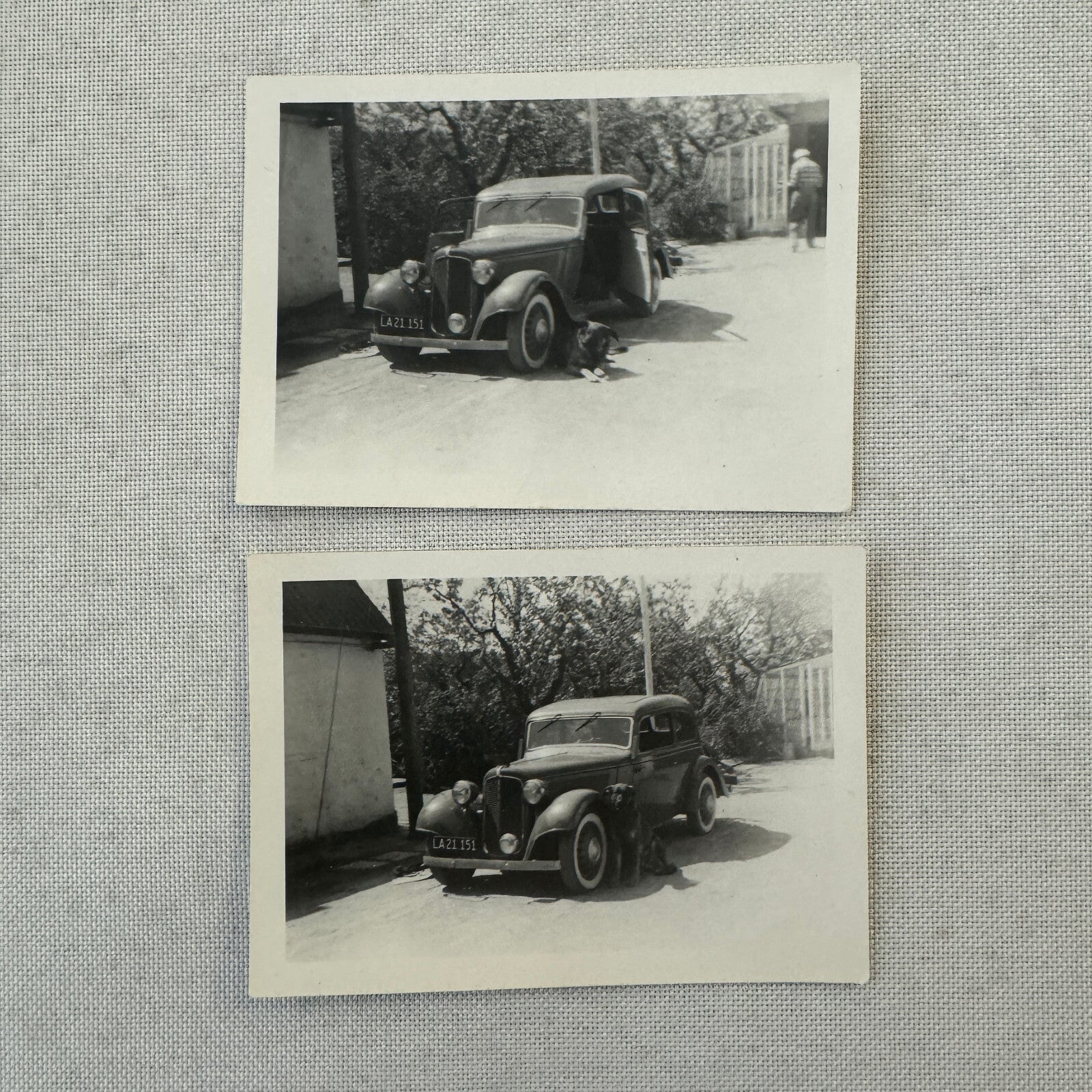 Dog with Antique Car Automobile Photo Photograph Lot of 2x Vintage