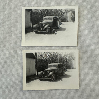 Dog with Antique Car Automobile Photo Photograph Lot of 2x Vintage
