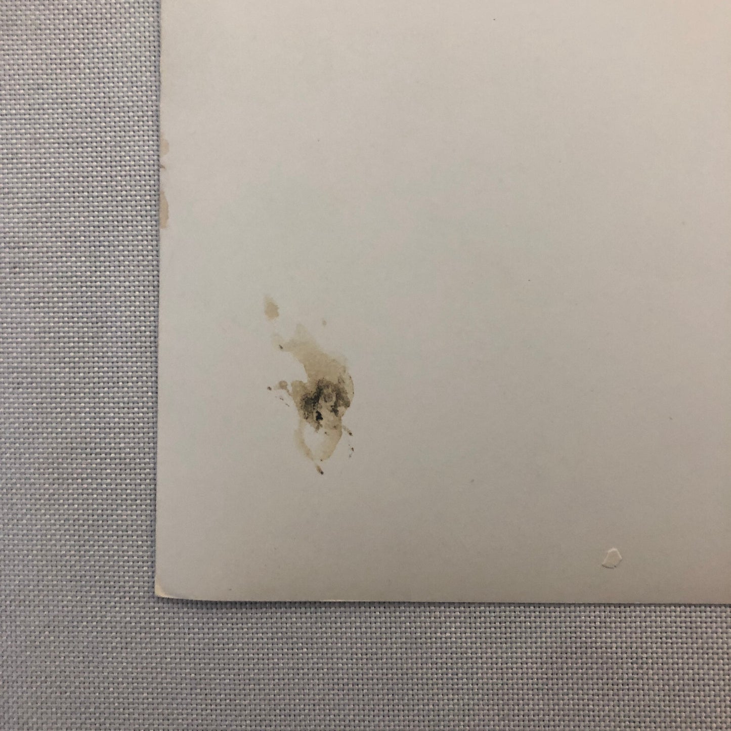 Porsche Racing Car Photo Photograph Vintage