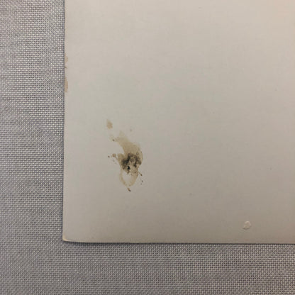 Porsche Racing Car Photo Photograph Vintage