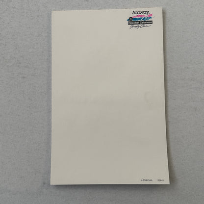 1991 Amway Indy Car Racing Press Kit Brochure Vintage Scott Brayton Driver