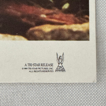 Vintage Movie Film Lobby Card The Bear Tri Star Release 1989