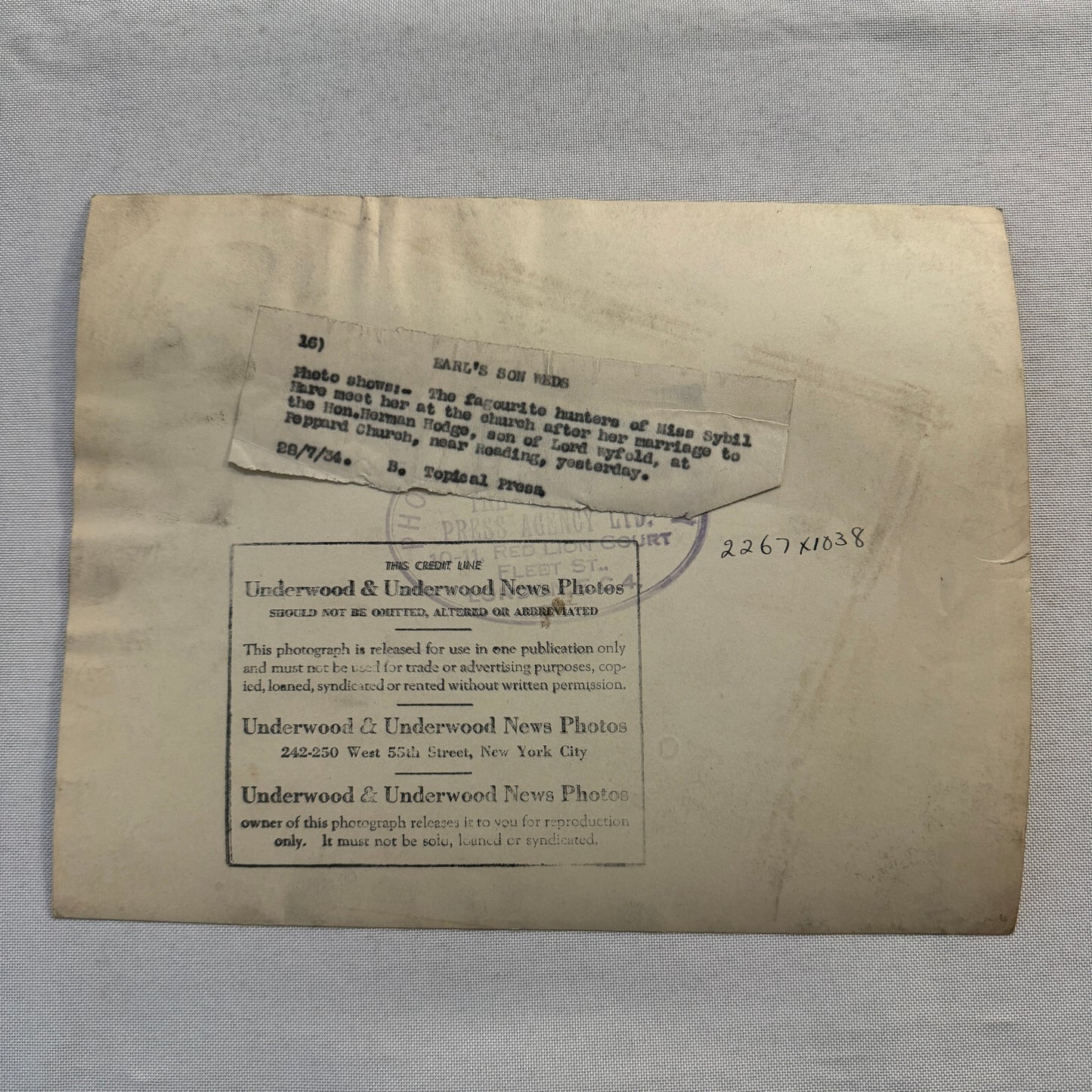 1934 Wedding Press Photo Photograph Horses British Nobles